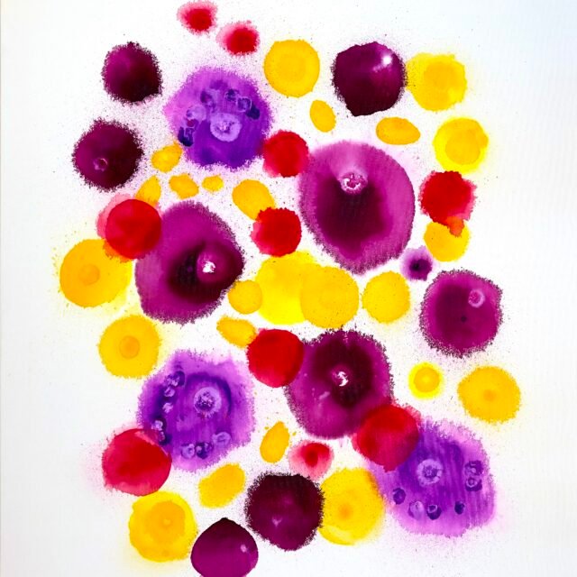 Jellyfish